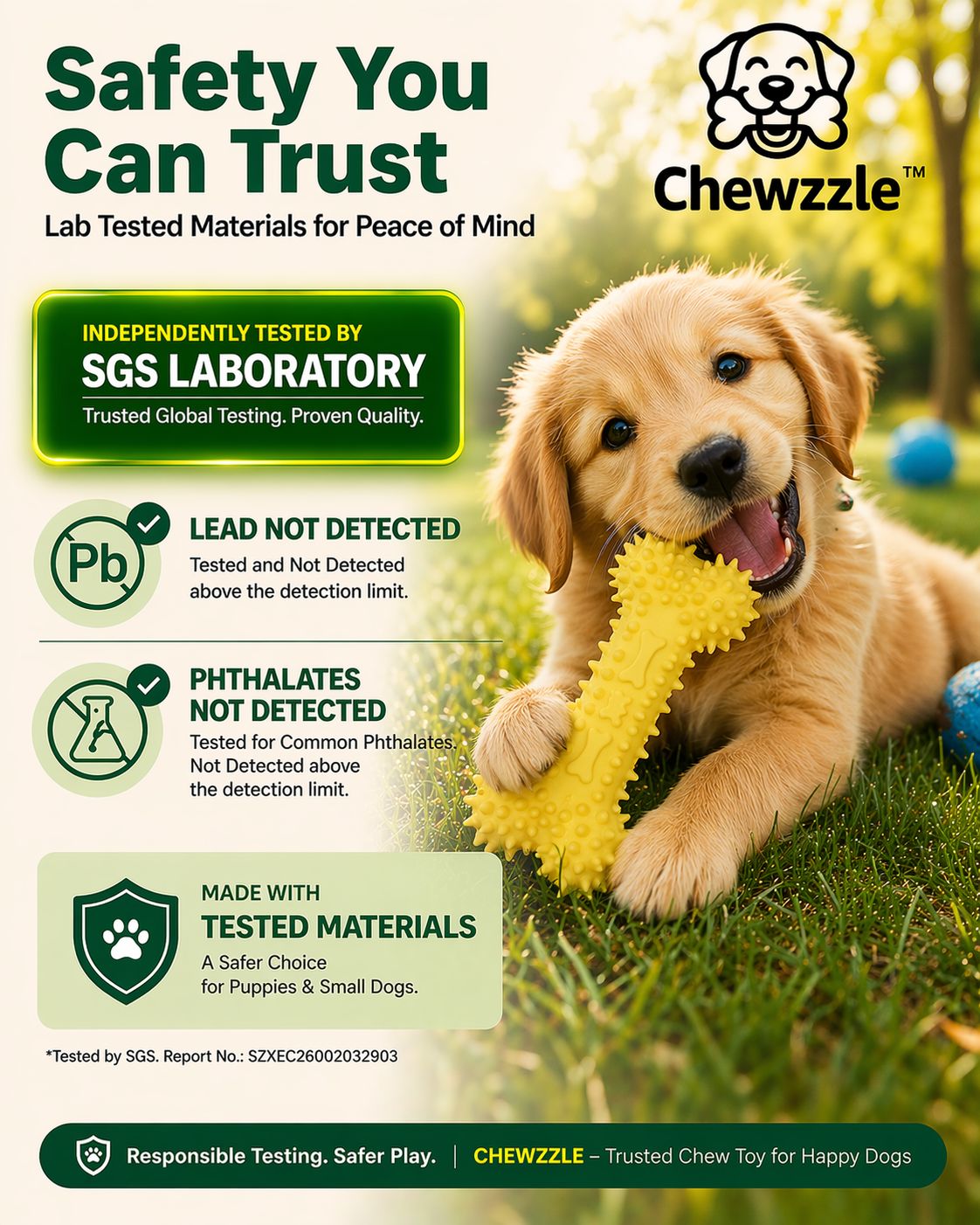 Chewzzle SGS Lab Safety Certificate